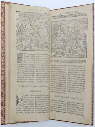 Libro, de la Monteria que mando escrevir el muy poderoso Rey Don Alonso de Castilla, y de Leon. Acrecentado por Goncalo Argote de Molina. Dirigido A la S. C. R. M. del Rey Don Philipe Segundo. Nuerto Senor.
