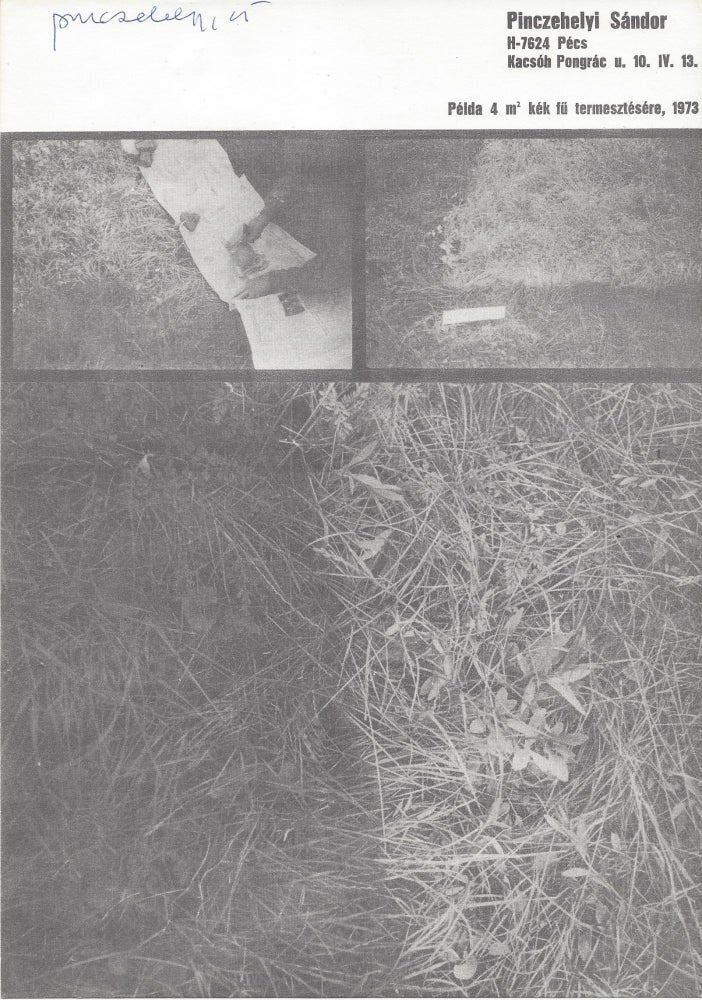 Item #1577 Példa 4m2 kék fü termesztésére, 1973. [Example For Growing 4m2 Blue Grass.]. Sándor Pinczehelyi.