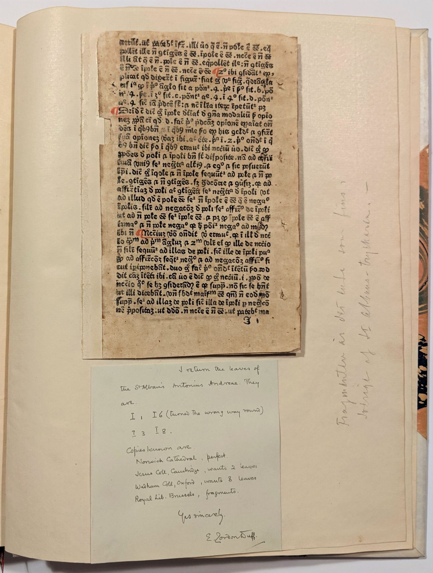 Scripta Actuaria Script Scriptum in logica sua. // Explicit scriptu Antonii in sua logica ...