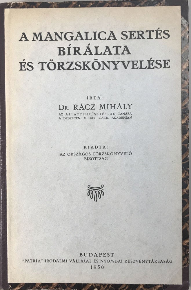 Item #2178 A mangalica sertes bírálat es torzskonyvelese (Mangalica pig review and distortion). Racz Mihaly.