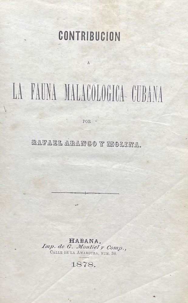 Item #2328 Contribucion a la Fauna Malacologica Cubana por Rafael Arango y Molina. Rafael Arango y. Molina.