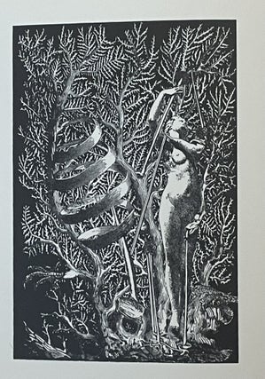 Je ne veux pas qu'on tue cette femme. Frontispice de Max Ernst.