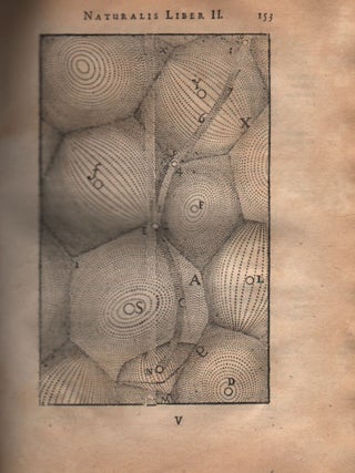 Philosophia Naturalis; in qua Tota Rerum Universitas, per clara & facilia Principia, explanatur.