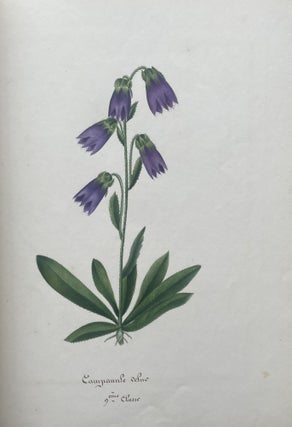 Item #2609 [Manuscript & Watercolors] Botanique. Seconde Classe. Louise Mass&eacute