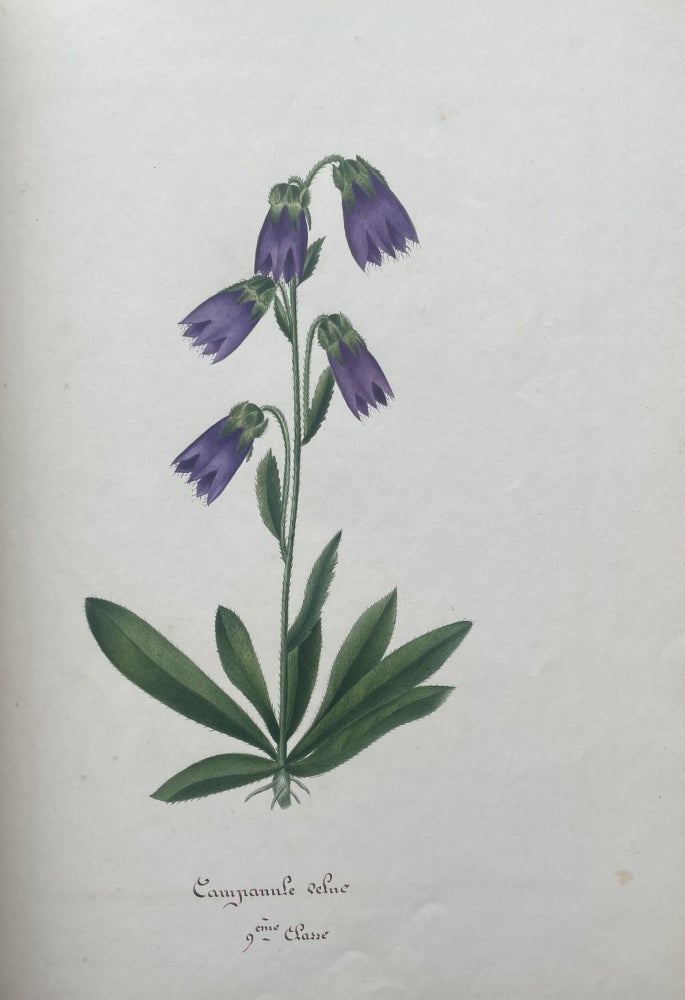 Item #2609 [Manuscript & Watercolors] Botanique. Seconde Classe. Louise Massé.