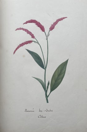 [Manuscript & Watercolors] Botanique. Seconde Classe.