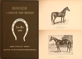 Item #2690 Megfigyelesek a lotenyesztes teren amerikaban ( Observations in Horse Breeding in...