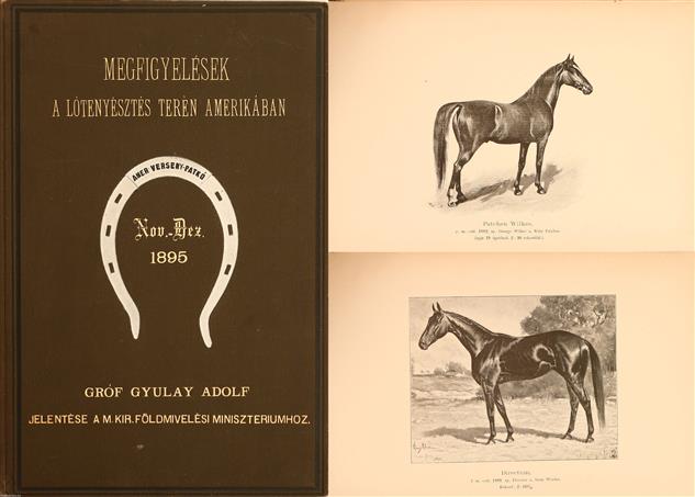 Item #2690 Megfigyelesek a lotenyesztes teren amerikaban ( Observations in Horse Breeding in America). Gyulay Adolf.