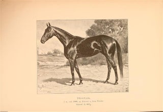 Megfigyelesek a lotenyesztes teren amerikaban ( Observations in Horse Breeding in America)