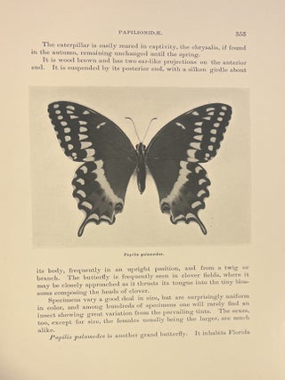 [Cover title:] As Nature Shows Them. Moths and Butterflies of the United States East of the Rocky Mountains. By S. F. Denton. (In Eight Sections. Section One[&ndash;Eight]).