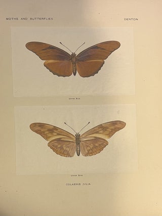 [Cover title:] As Nature Shows Them. Moths and Butterflies of the United States East of the Rocky Mountains. By S. F. Denton. (In Eight Sections. Section One[&ndash;Eight]).